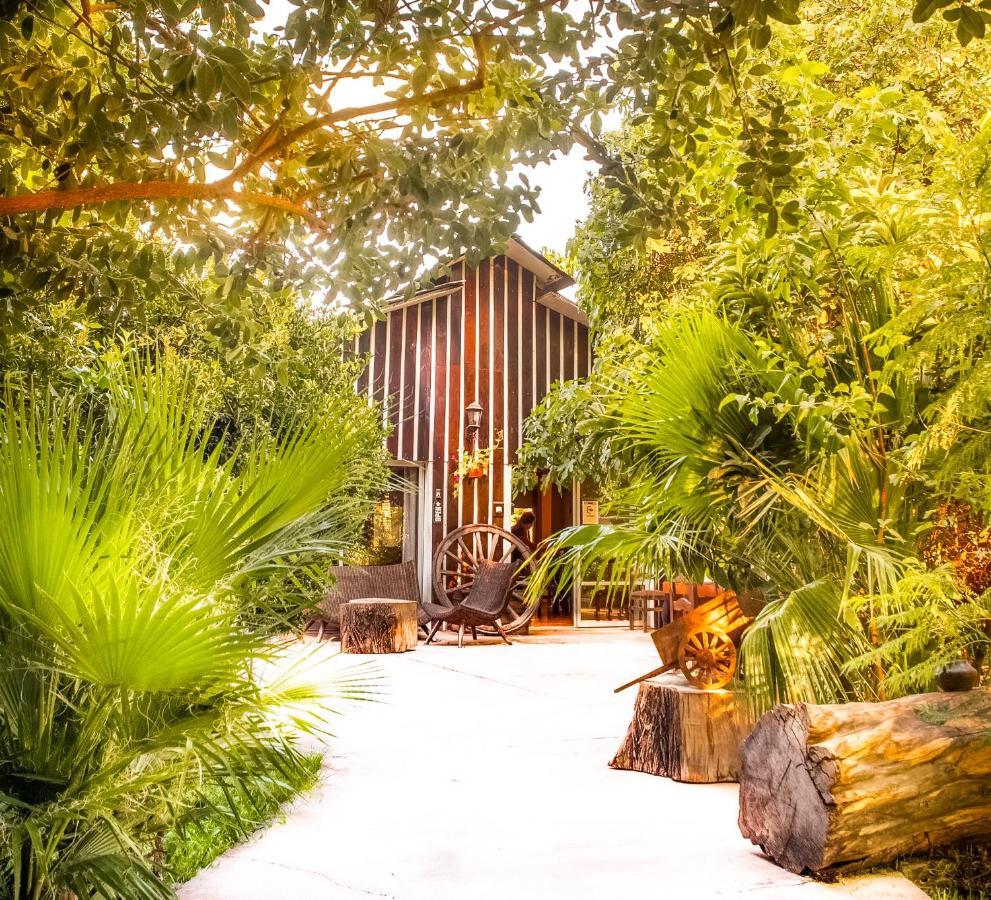 Barros Wellness & Spa Resort Boutique ロス・アンデス エクステリア 写真